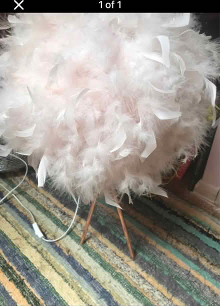 Photo of free Pink feather lamp (EN7) #1