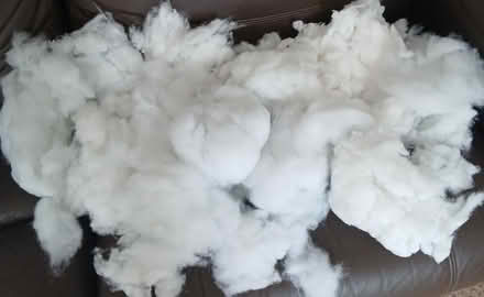 Photo of free Cushion stuffing (Letchworth) #1