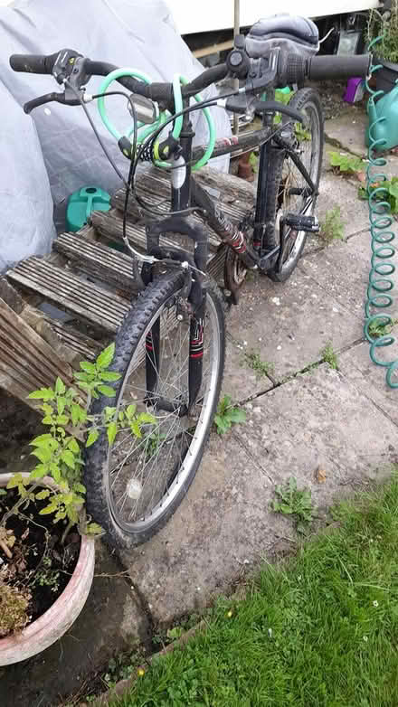 Photo of free Mountain bike (CM0 8AN Burnham on crouch) #4