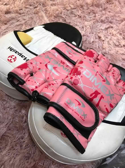 Photo of free Grappling gloves and focus mits (Bury Green EN7) #1