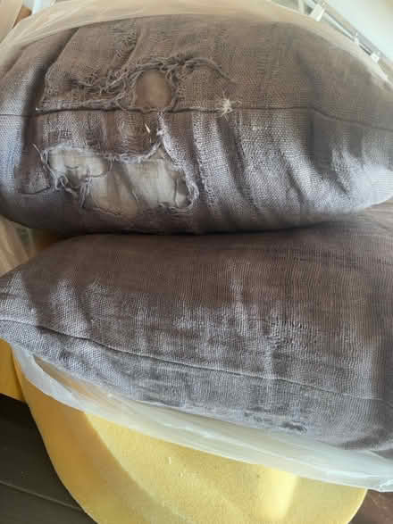 Photo of free Large throw pillows (Orléans) #2