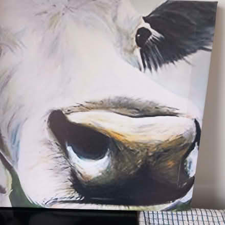 Photo of free Head of the herd. (Lexden CO3) #2