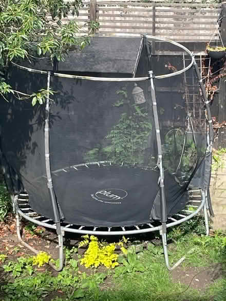 Photo of free Trampoline (Northfields) #1