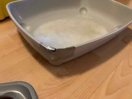 Photo of free Litter tray (Houghton Regis LU5) #1