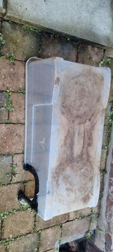 Photo of free Plastic box Hedgehog feeder (Chorlton M21) #1