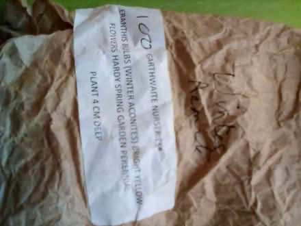 Photo of free Bulbs (Riverside FK8) #1