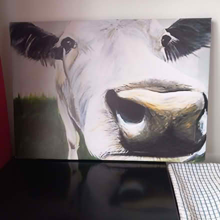 Photo of free Head of the herd. (Lexden CO3) #1