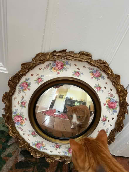 Photo of free Mirror circular convex (Sheffield Park TN22) #1