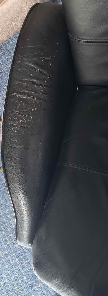 Photo of free Recliner chair (HX3) #3