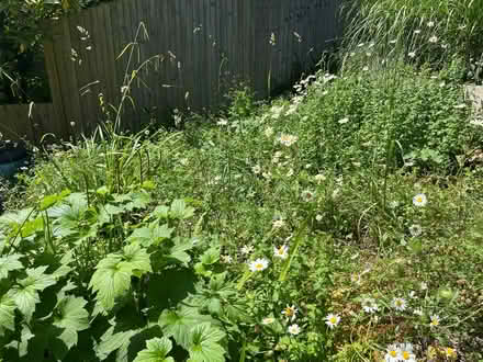 Photo of Paving slabs or brick pavers (Houndean Bottom BN7) #1