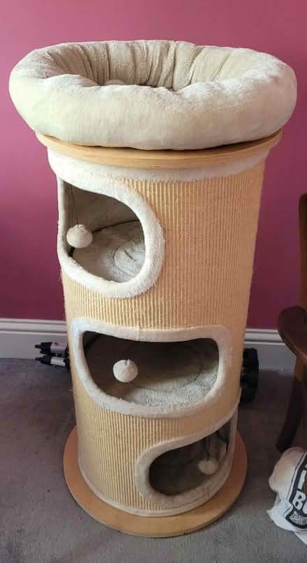 Photo of free LARGE cat tree/ barrel (Morden (near Ravensbury Park)) #1
