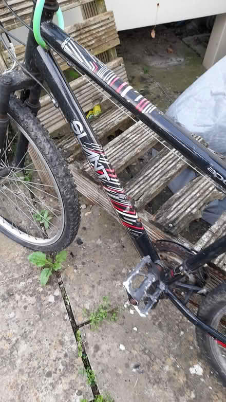 Photo of free Mountain bike (CM0 8AN Burnham on crouch) #2