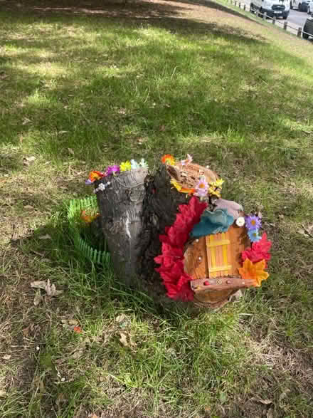 Photo of Plant Pots (SW15) #3