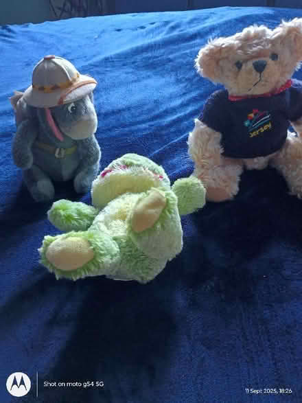 Photo of free Soft Toys (Drylaw EH4) #1