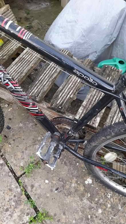 Photo of free Mountain bike (CM0 8AN Burnham on crouch) #3