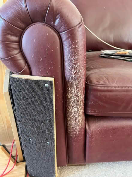 Photo of free 2-seat leather sofas promised to non freegler (Walton) #4