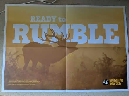 Photo of free Poster (Southbourne BH6) #1