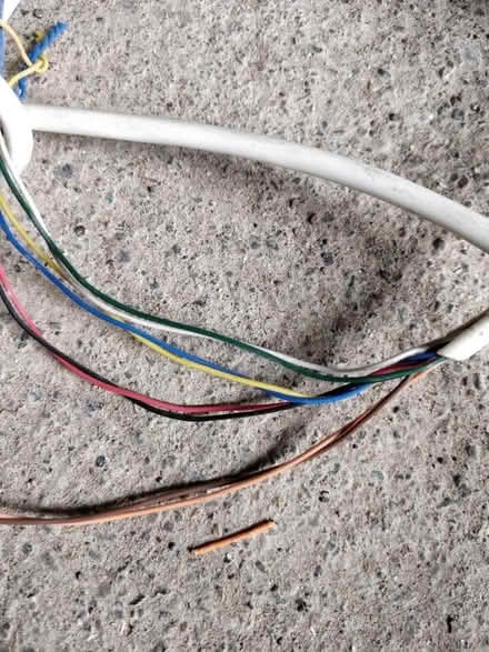 Photo of free Security camera/alarm cable (Ravelston EH4) #2