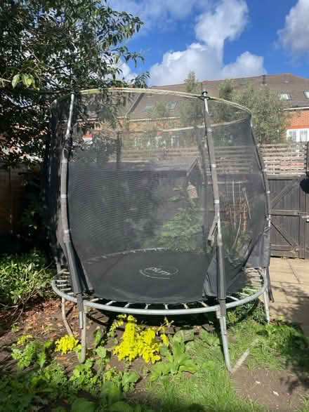 Photo of free Trampoline (Northfields) #2