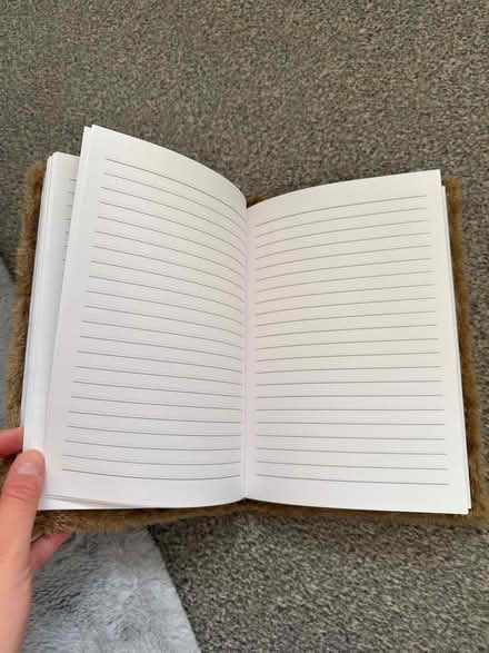 Photo of free a5 lined notebook (Ilford IG6) #2