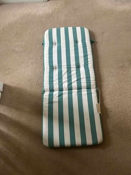 Photo of free Outside chair cushions (Bloxham OX15) #3