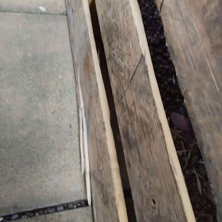 Photo of free Wooden Pallet (Handbridge CH1) #3