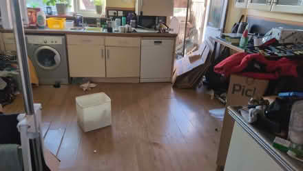 Photo of free Laminate flooring (S2) #2