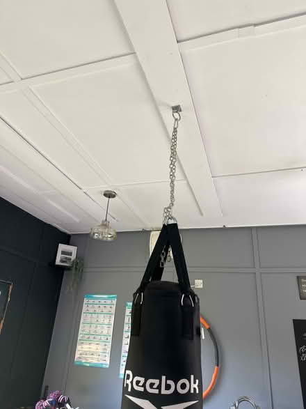 Photo of free Reebok punch bag (Sutton Bridge) #1