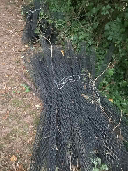 Photo of free Tree guards (Kingston st Mary) #1