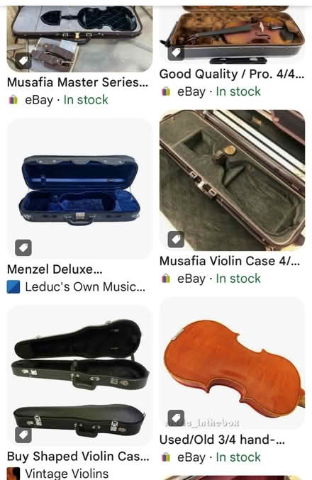 Photo of Violin case (St. Clair & Victoria Park) #1