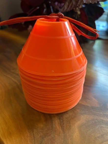 Photo of free Mini cones (Ashby) #1