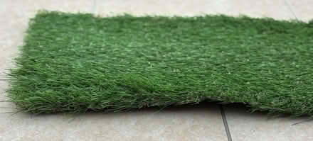 Photo of free Artificial Grass (Kennington OX1) #1
