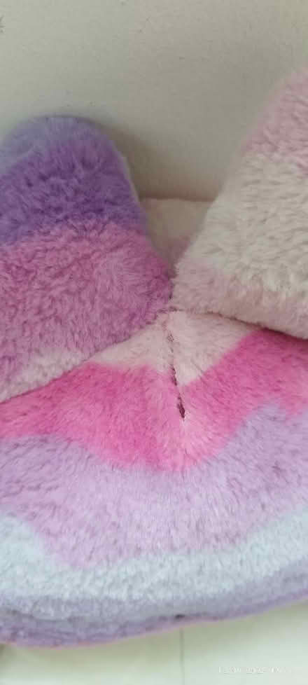 Photo of free Craftholic plushie (Tpy) #2