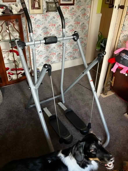 Photo of free Gazelle ski glide exerciser (Bradford BD2) #1