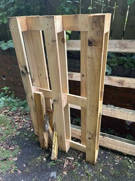 Photo of free Two pallets - one regular sized and one extra large (Norton LD8) #2