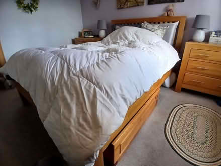 Photo of free Goosedown double duvet (Shifnal TF11) #1