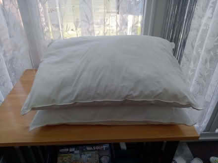 Photo of free Pillows 2 (Godmanchester PE29) #3