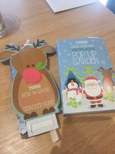 Photo of free Radish & Cress seeds (Hoxton Street N1) #3