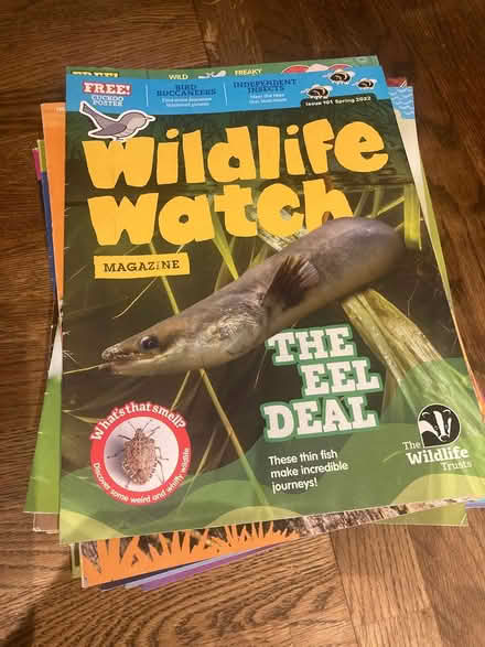 Photo of free Children’s Wildlife magazines (Minchinhampton) #1