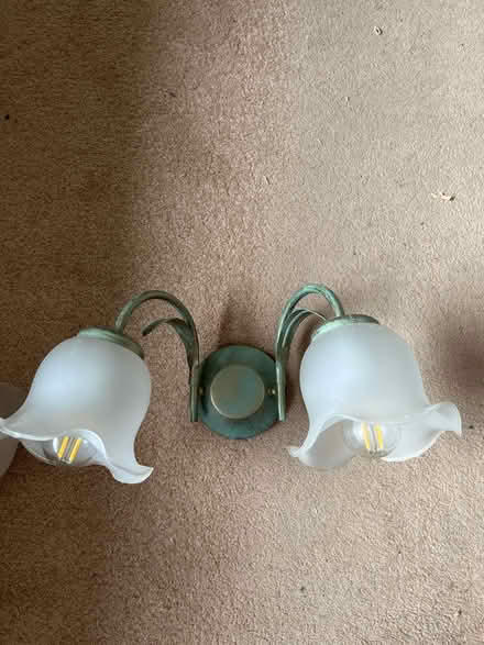 Photo of free Wall & centre lights (GU22) #3