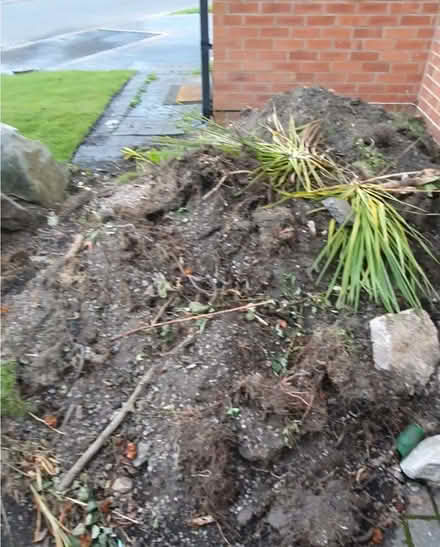 Photo of free Soil (Burnage M19) #1