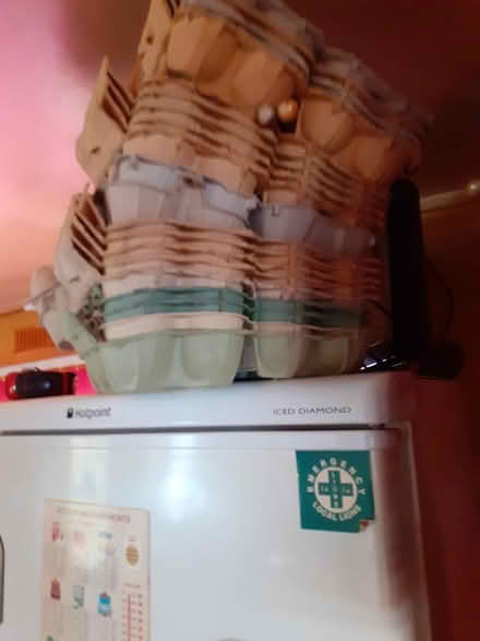 Photo of free egg boxes (Pickering/Malton. YO17) #1