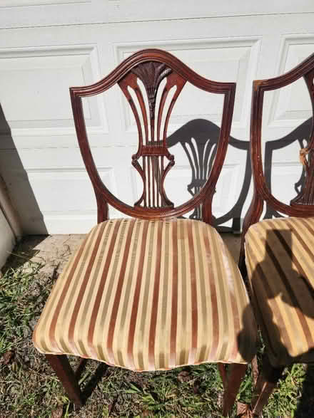 Photo of free Dining room chairs (Hopewell) #2