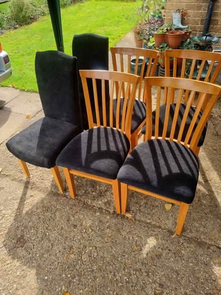 Photo of free 6 wooden dining room chairs (Whittlebury NN12) #1