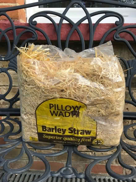 Photo of free Barley straw (Braintree CM7) #1