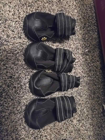 Photo of free Dog shoes sz9 (Near woodmen & union) #1