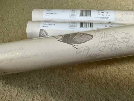 Photo of free Butterfly wallpaper 3 unopened rolls (Hertford SG14) #3