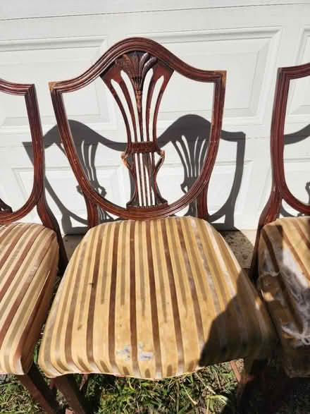 Photo of free Dining room chairs (Hopewell) #3