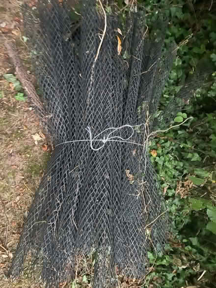 Photo of free Tree guards (Kingston st Mary) #2