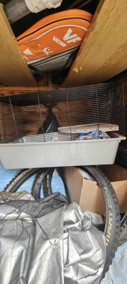 Photo of free Hamster cage (M7 Salford) #1
